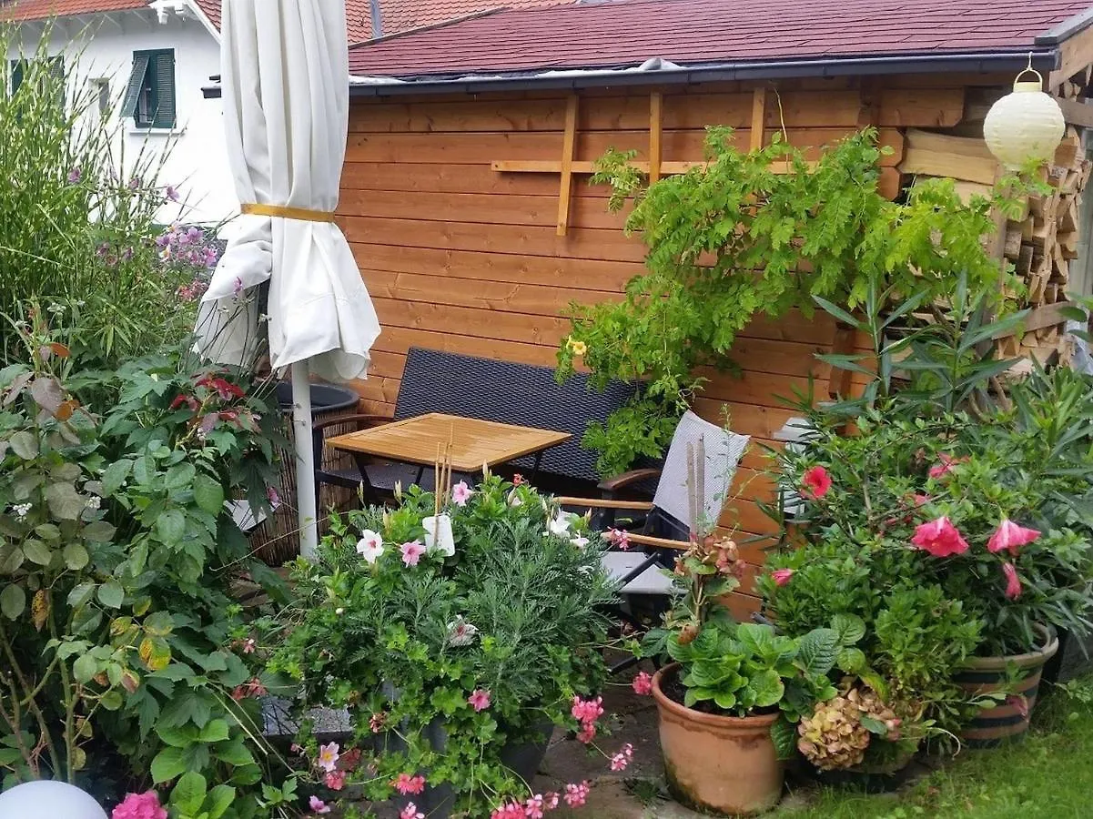 Ferienwohnung Am Berg, 35Qm Rickenbach  شقة Rickenbach (Bavaria)